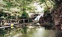 峯雲閣の滝風呂